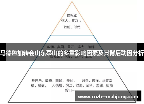 马德鲁加转会山东泰山的多重影响因素及其背后动因分析