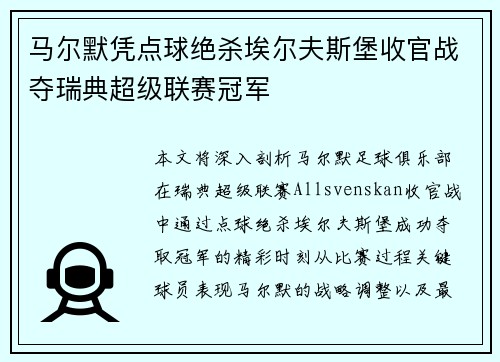 马尔默凭点球绝杀埃尔夫斯堡收官战夺瑞典超级联赛冠军